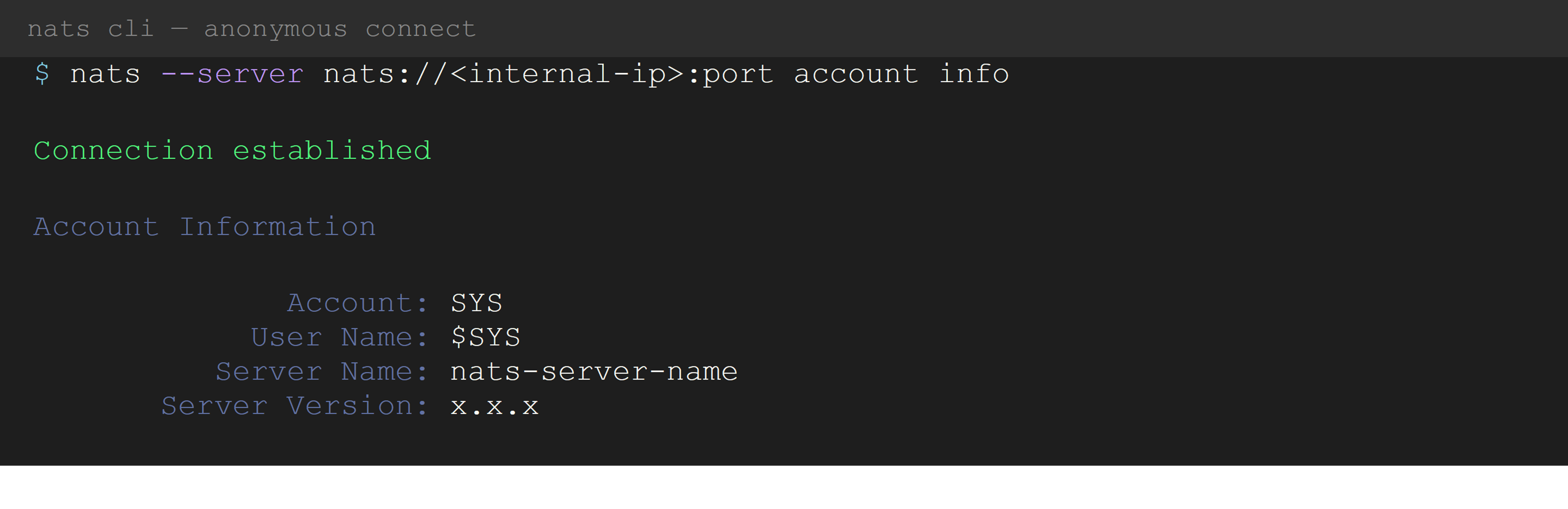 Pen Testing - NATS Cli Example